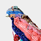 ANIMAli
